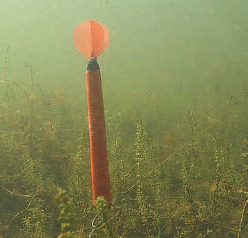 Подводные Секреты: Поиск Точки Ловли